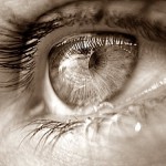 0000344509_m_0_xiu0es