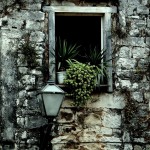 0000990872_l_0_bb1y2z