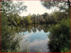 10358126_10201433160349620_1126165394141957059_n