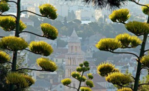 10686802_707910892638006_3320506516211261469_n