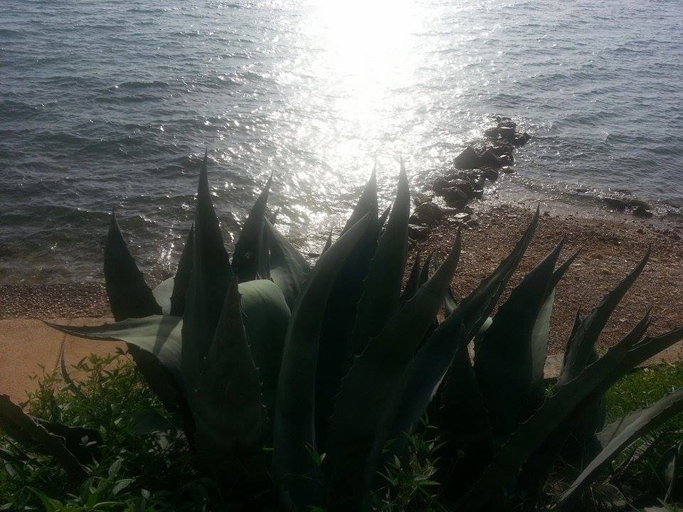 10726802_10204161551751968_1203332538_n