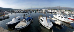 10933803_735351203227308_7977960636971651374_n