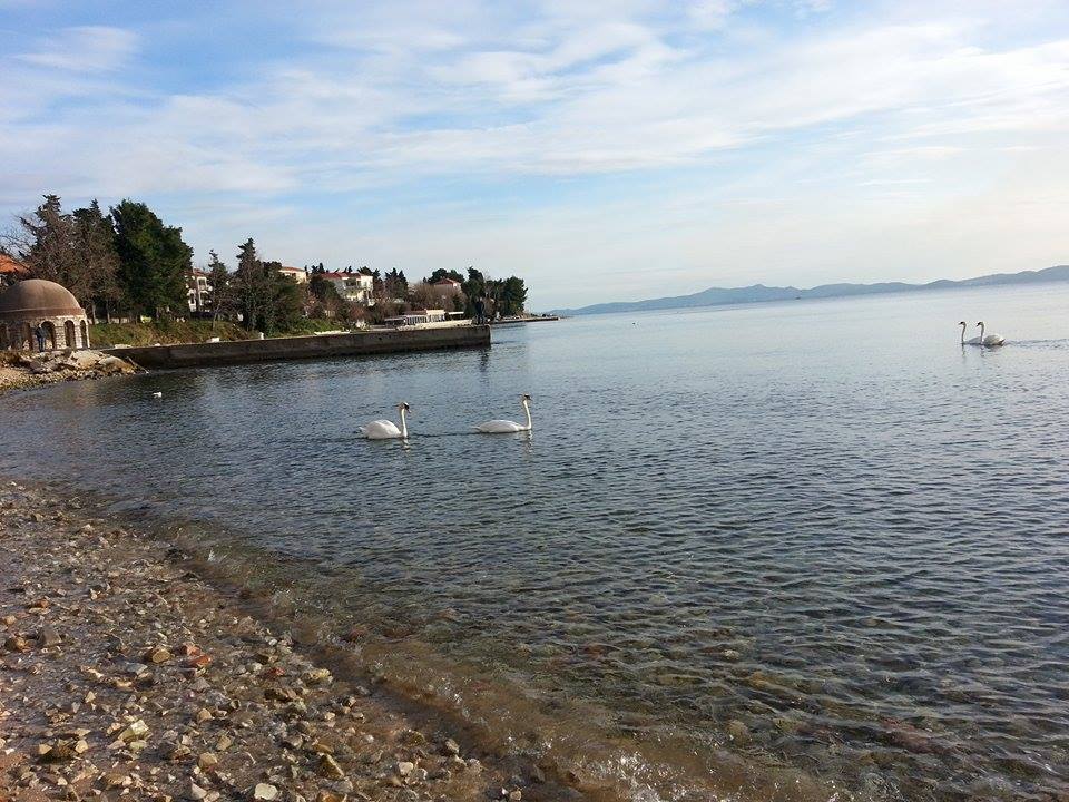 10937684_10204926965166825_1358431185_n