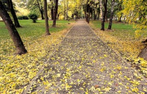 132_2013092211208331