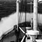 1451608_526121127483651_75882669_n