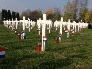 1453515_547414325340129_964785313_n