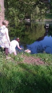 18624700_10211910183337335_825147880_n