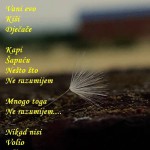 19184241_10208051305795129_1446703830_n