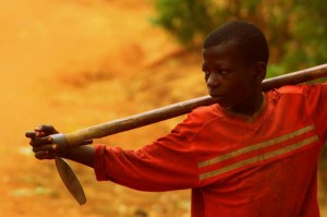 1922_2013081401220656