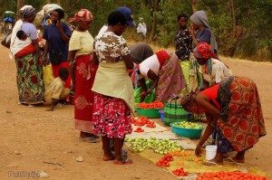 1922_2013081401221857