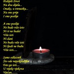 19357660_10208051305555123_176727662_n