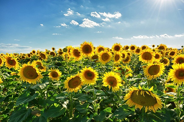 19724226_10211764290174148_1649099094_o