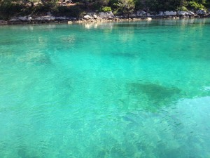 2.Veliko jezero - detalj