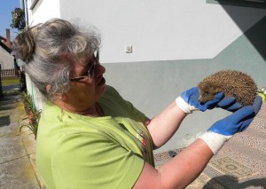 imala sam i ježa...