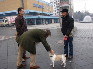 foto: Marija Radošević