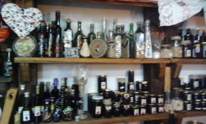 20446266_648775311995409_146676558_o