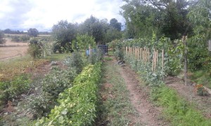 20472762_648774628662144_2059582217_o