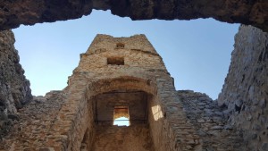 20883611_10212216787927838_1661055969_o