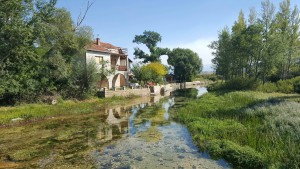 20883785_10212215596218046_2028595132_o