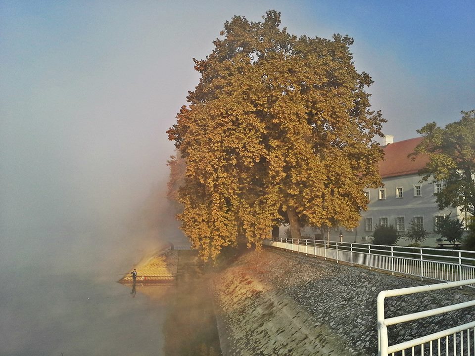 21686366_1320372278088348_1715782233124463380_n