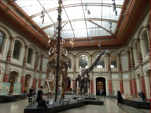 42622435_10210324450426315_8539246161066721280_o