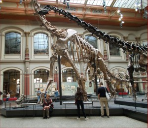 42758706_10210324452626370_1525258241041235968_o