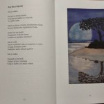 60693016_332419347438802_864855032997085184_n