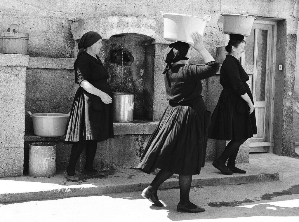 61346414_356817864969635_850019223819255808_n