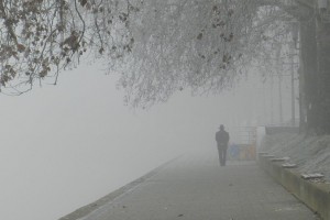 737622_4492381146087_1921156414_o