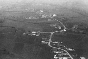 970650_470339086395189_1012816109_n