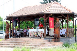 Blagdan sv. Vida - Stru ec 2015