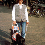Blindenhund