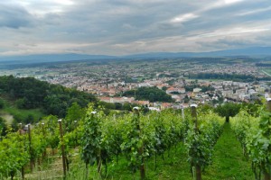 Pogled na Požegu s Požeške gore