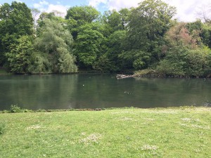 Detalj vode Bruxelles