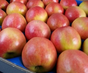 IMG-1418652711-V-1 (1)