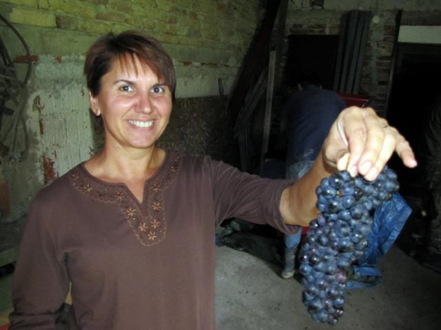 Jur10D0i1070_berba-23091439