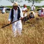 Kosacci Su Dobro Naosstrili Kose