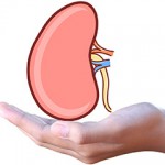 Obrada-za-stavljanje-na-Listu