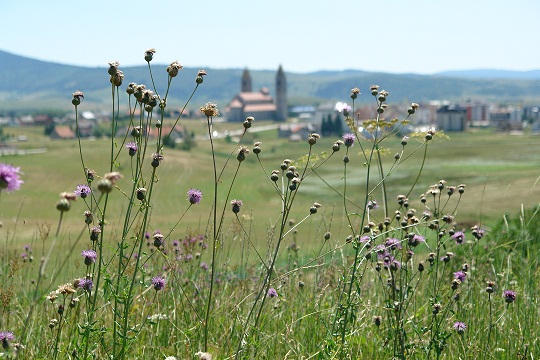 Pogled s Kupreške visoravni