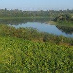 Rijeka Sava kod Grebnica