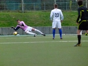 Vratar gostiju u akciji (Hermann)