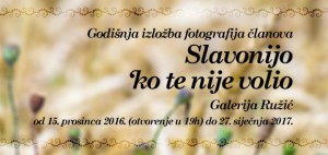 clanak-slavonijo-720x340