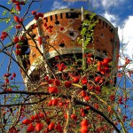 croatia_slavonia_vukovar_005