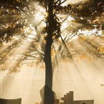 green-funerals-green-resting-place