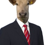 mensch_kuh_chimaere2