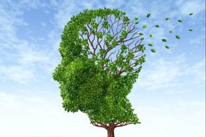 mozak-stvara-lazna-sjecanja-a-blokada-stiti-prenatrpani-um-504x335-20130518-20130510151750-35004d3af6f36f7c44298d118d76d009