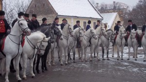 pikladno-jahanje-vinkovo-5