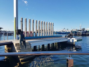 received_1003768613108113 (2)