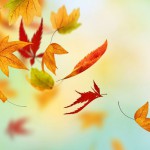 t_3047265_igracka_vjetrova_tin_ujevic_pinkjeca_cool_v