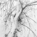 x10602187840594875956